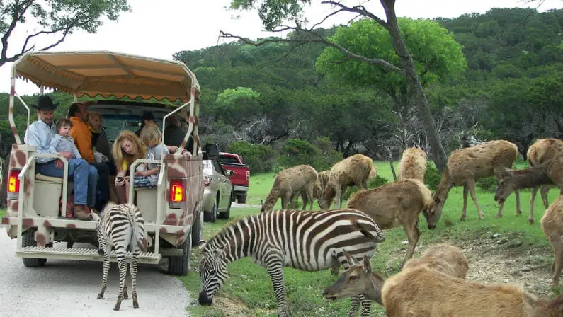 Fossil Rim Wildlife Center: Coupons, Prices, Hours, & More