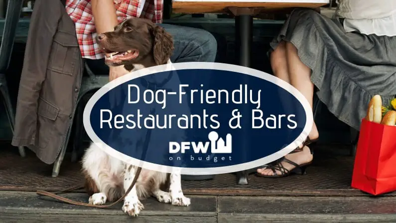 The Best Dog Friendly Bars and Restaurants in Dallas-Fort Worth