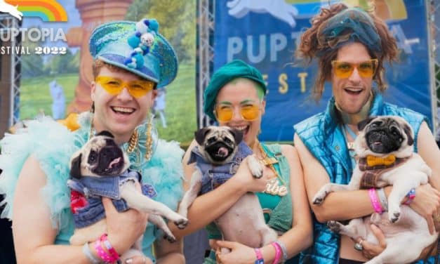 10 fun things to do in Dallas with kids this weekend of October 14, 2022 include Puptopia Festival, $13.99 all-day ride pass at Prairie Playland, and more!