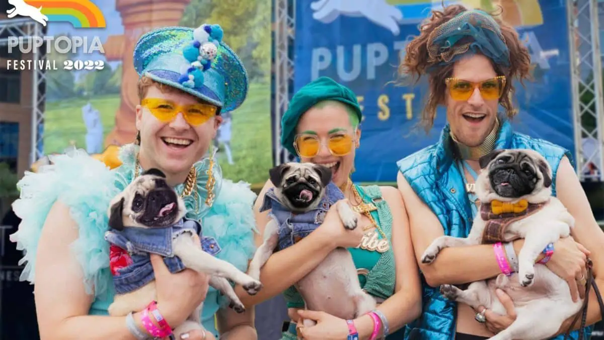 Things to do in Dallas with kids this weekend | Puptopia Festival