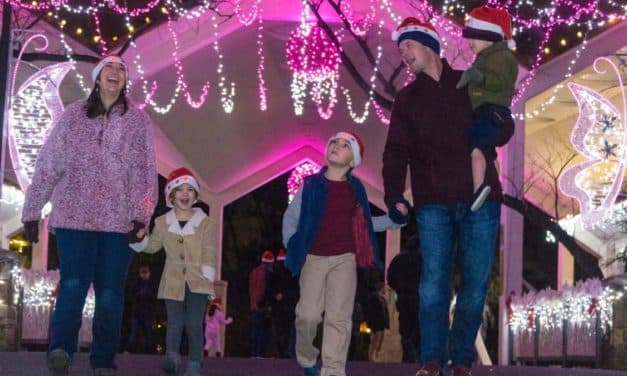 10 fun things to do in Dallas with kids this weekend of November 18, 2022 include Dallas Zoo Lights, Nancy Best Fountain Performances, and more!