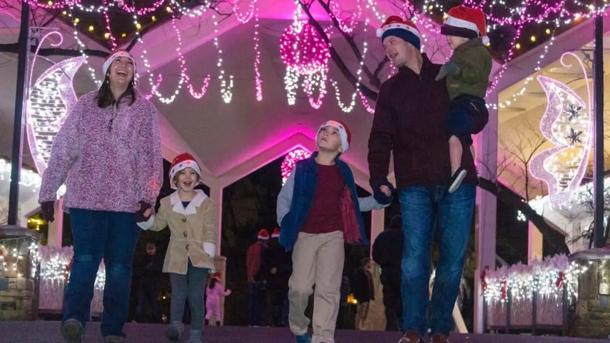 Things to do in Dallas with kids this weekend of November 18 | Dallas Zoo Lights